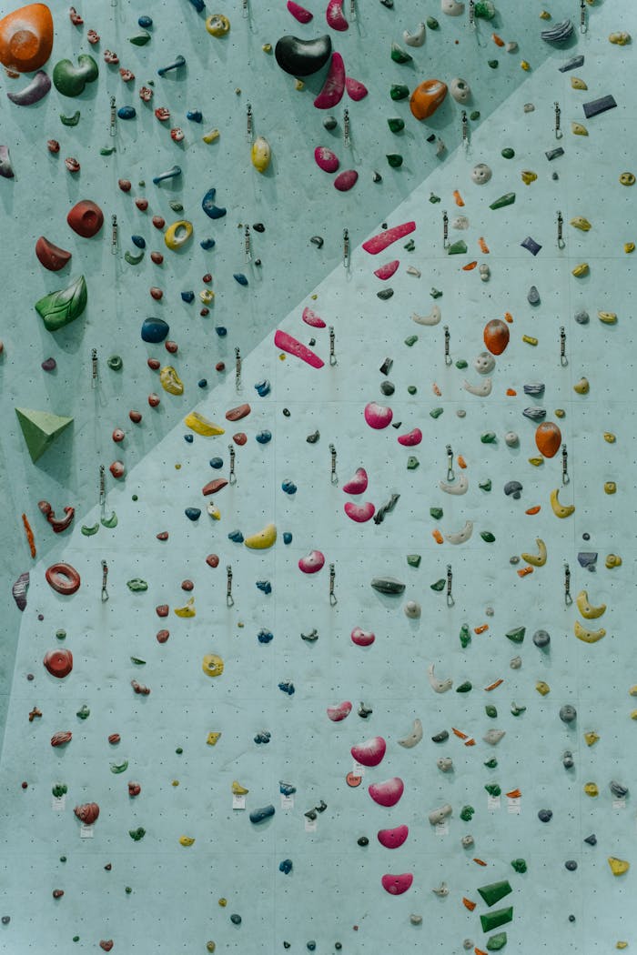 A detailed view of a vibrant indoor climbing wall with various holds.
